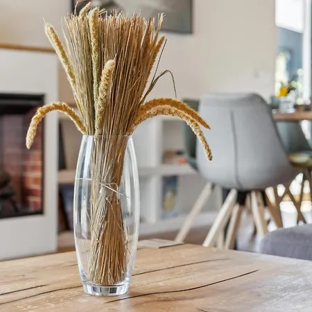 Ferienoase Plaetlinsee בית נופש